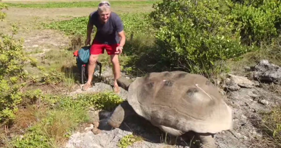 El animal no quer&iacute;a tener ning&uacute;n tipo de interrupci&oacute;n mientras estaba con su pareja, as&iacute; que tuvo que echar al intruso.&nbsp;
