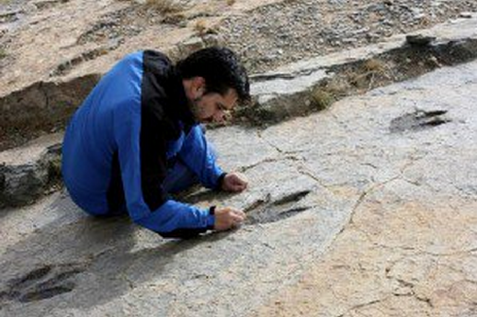 En Bolivia fueron encontradas m&aacute;s de 10 mil huellas de dinosaurios. (Foto: El Universal)