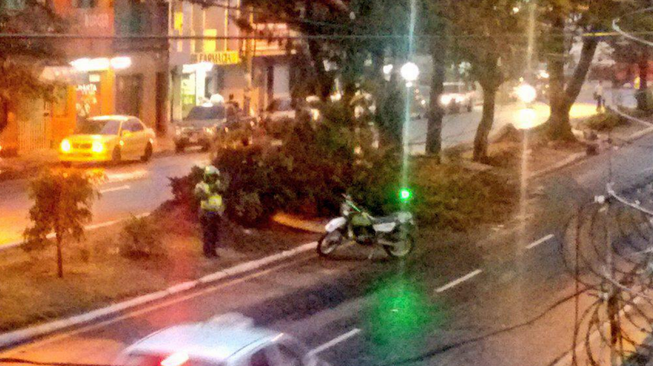Las fuertes lluvias provocaron que arboles cayeran en las zonas 7 y 11. (Foto: @amilcarmontejo)