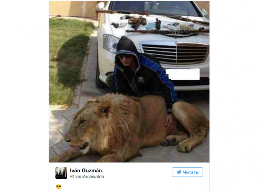 Iv&aacute;n Archivaldo presume un le&oacute;n que aparentemente vive en una de las casas del "Chapo". (Foto: Twitter)