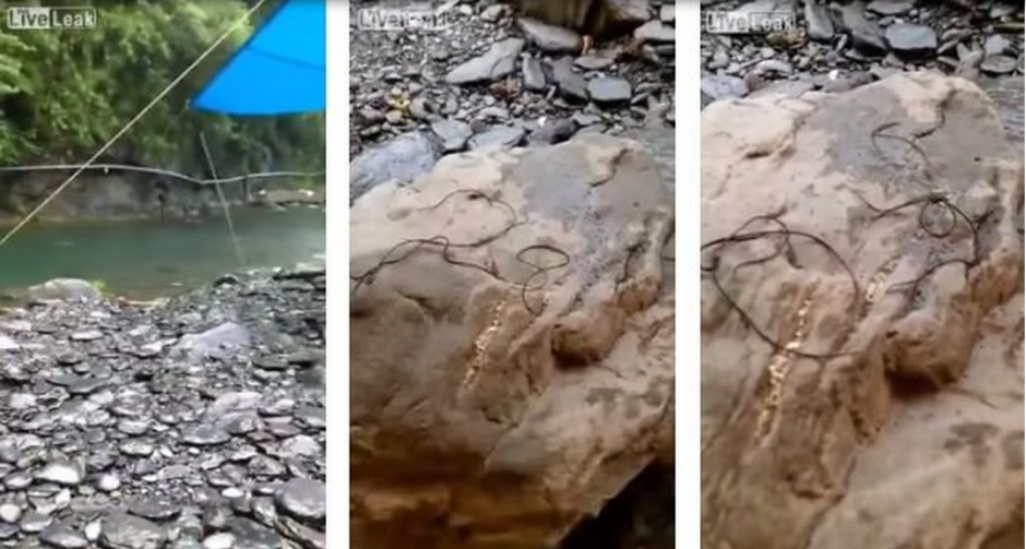 Estas criaturas extra&ntilde;as fueron captadas en un vido. (Foto: YouTube)