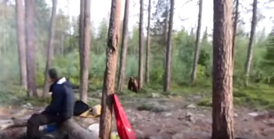 Un grupo de turistas alejan a un oso cuando se acercaba a ellos. (Imagen: YouTube)