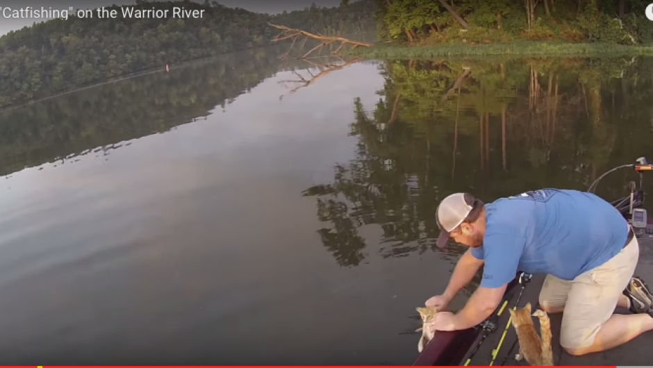 Un pescador rescata a dos gatitos que nadaron hasta su bote, en un r&iacute;o de Alabama, Estados Unidos.