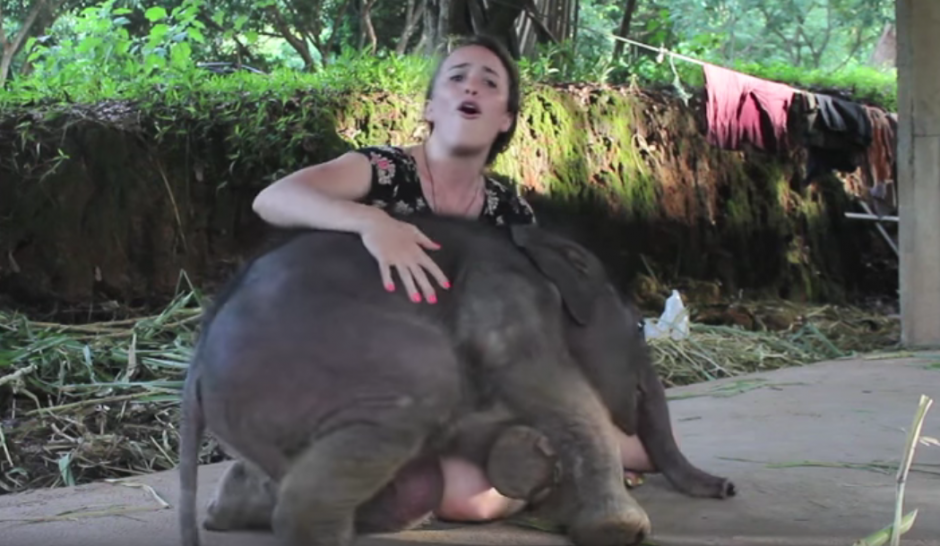 Un elefante beb&eacute; se roba las corazones de los cibernautas. (Imagen: YouTube)