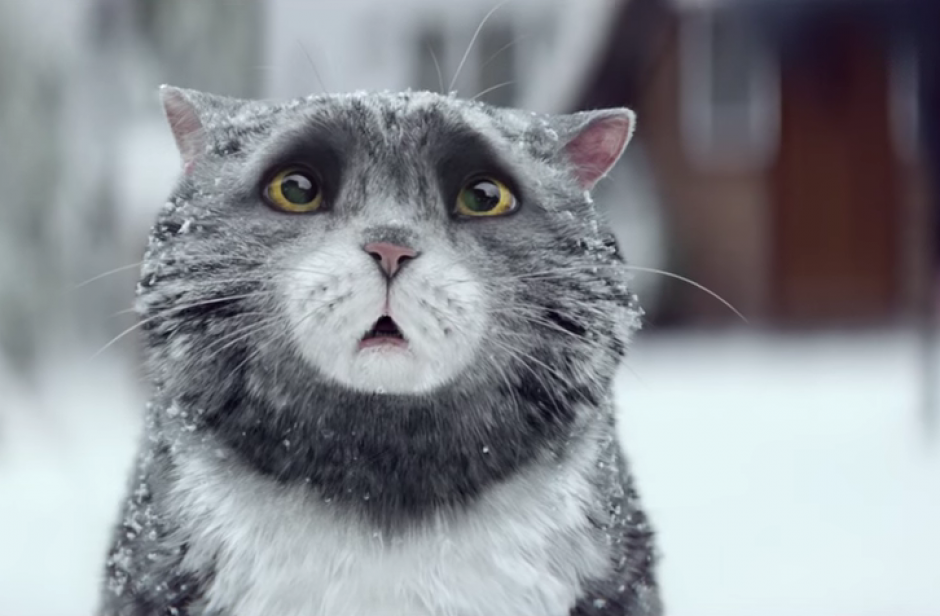 El gato Mog se mete en problemas.&nbsp;(Foto: YouTube/Sainsbury&rsquo;s)