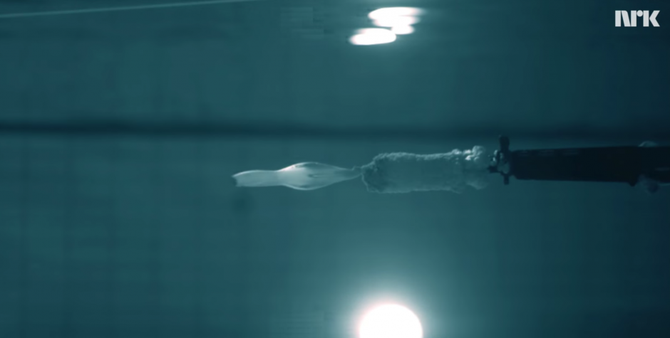 El cient&iacute;fico arriesga su vida para comprobar que las armas no funcionan bajo el agua. (Foto: Youtube)