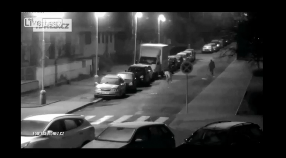 Un hombre fue capturado tras perseguir desnudo a transe&uacute;ntes en las calles de Rep&uacute;blica Checa, diciendo que era un "hombre lobo". (Imagen: Captura de YouTube)