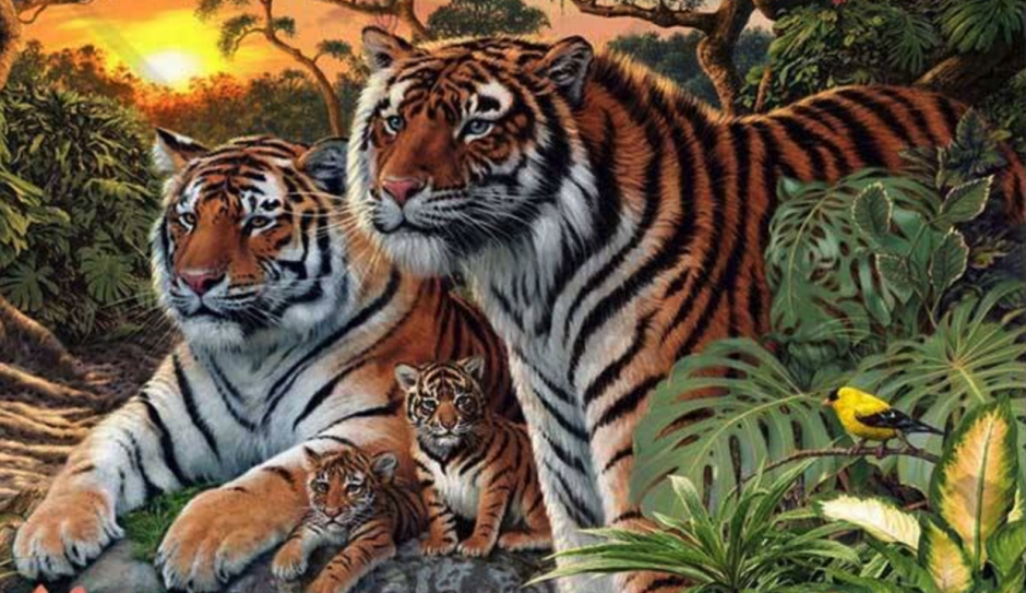 Aunque los primeros cuatro tigres son fáciles de identificar, hay por lo menos una docena más de ellos escondidos. (Imagen: elsalvador.com)