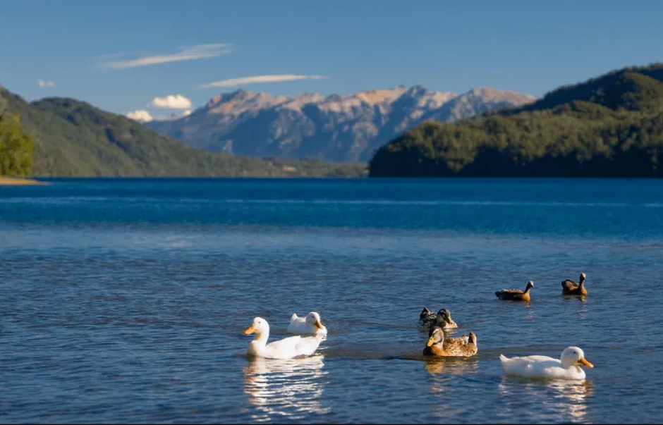 Otro voluntariado se lleva a cabo en Lago Hermoso, Argentina, y podr&aacute;s observar paisajes como este todos los d&iacute;as. (Foto: Facebook, Winkamawida)
