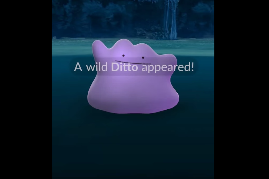Nadie a podido encontrar a Ditto. (Foto: Captura de Pantalla/YouTube) 