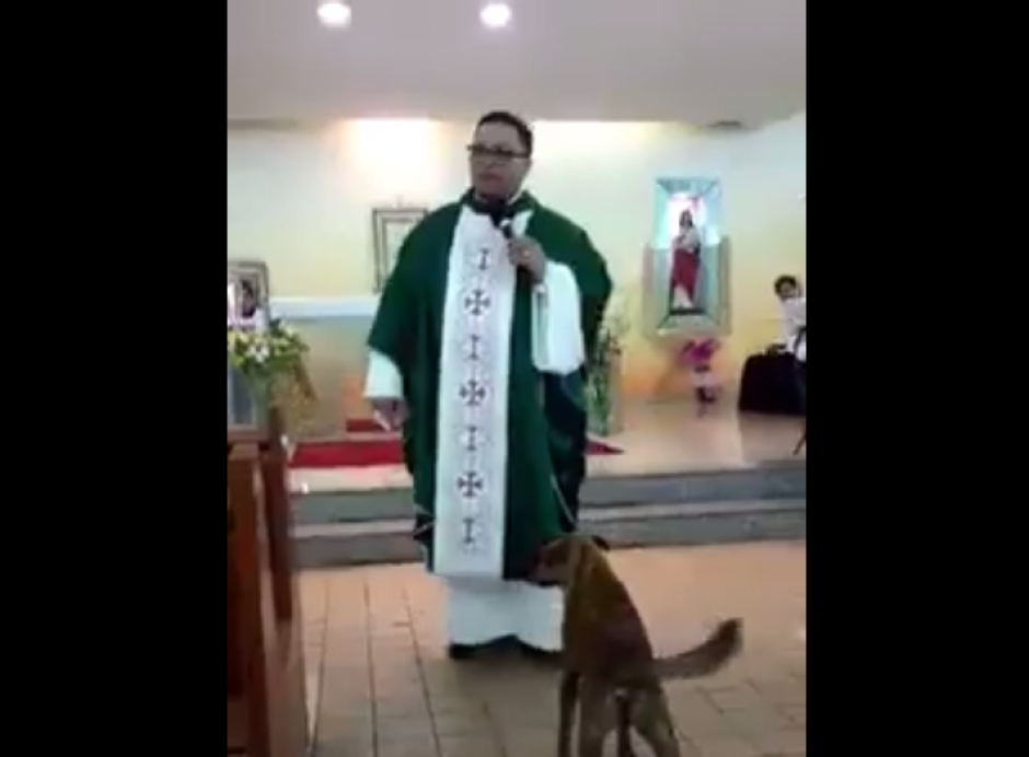 El perro entra a la iglesia en Brasil para molestar al padre. (Foto: Captura Facebook) 