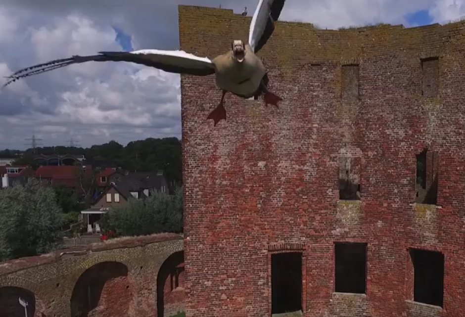 Un ganso atac&oacute; a un drone que sobrevolaba un castillo en Holanda. (Imagen: Captura de pantalla)