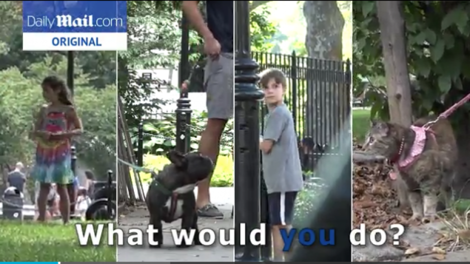 La idea era saber a qui&eacute;n rescatar&iacute;an primero las personas que se dieran cuenta de los ni&ntilde;os y los animales perdidos en el parque. (Foto: Daily mail)