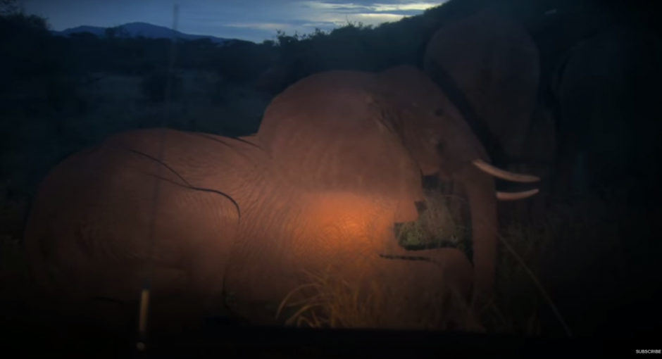 El video fue grabado durante la madrugada en Nairobi, Kenia. (Imagen: captura de YouTube)