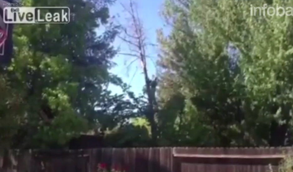 Un hombre capt&oacute; a su vecino talando un &aacute;rbol y lejos de prevenirlo, grab&oacute; el posible accidente. (Imagen: Captura de pantalla)