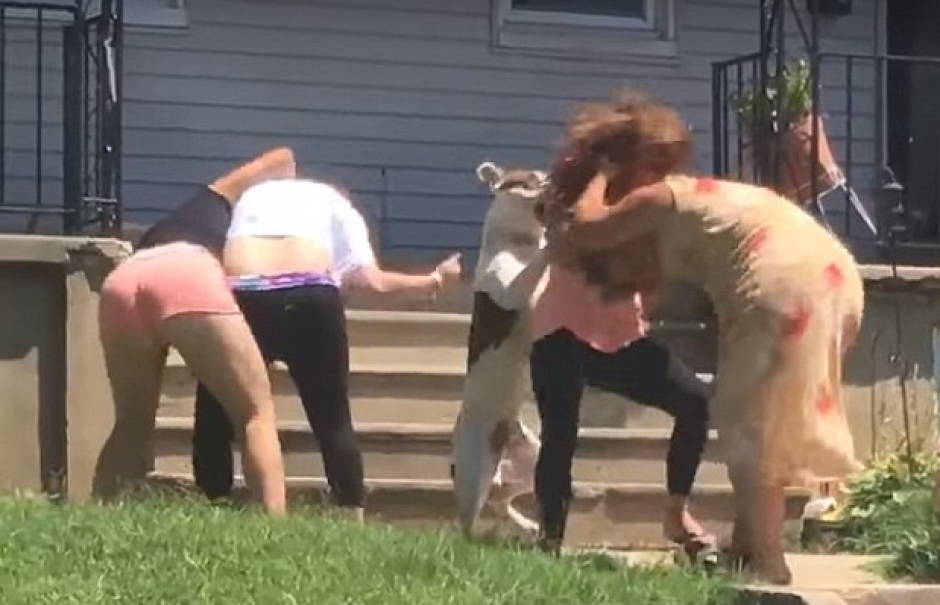 El perro intent&oacute; defender a su due&ntilde;a, enfrascada en una pelea. (Foto: dailymail.co.uk)