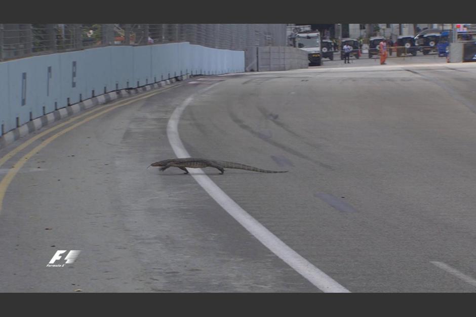 Logr&oacute; cruzar sano y salvo a tiempo. (Foto: Twitter/@SkySportsF1)