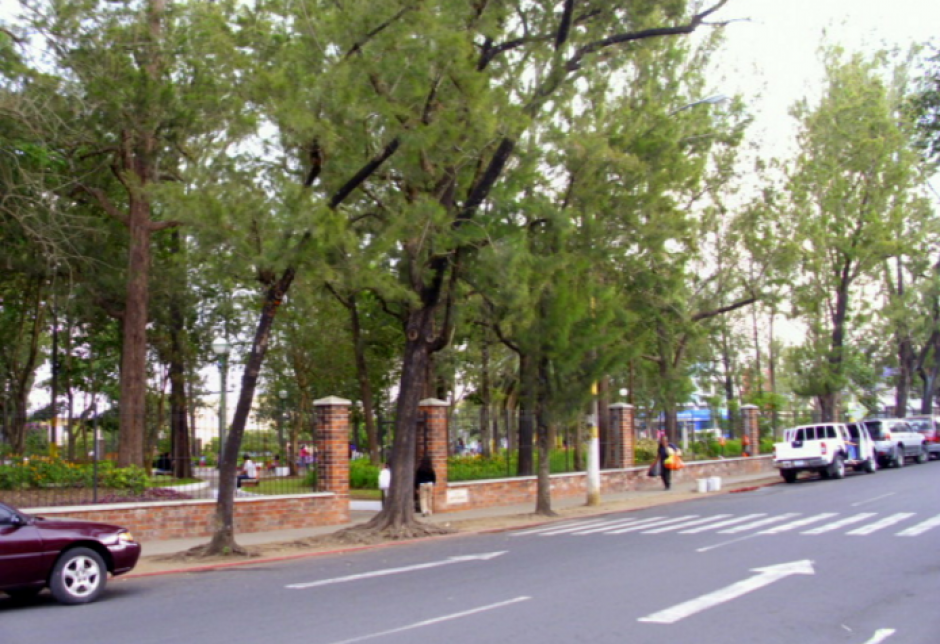 Un perro atacó a una señora en la zona 2. (Foto: palenciasilvana.blogspot.com)