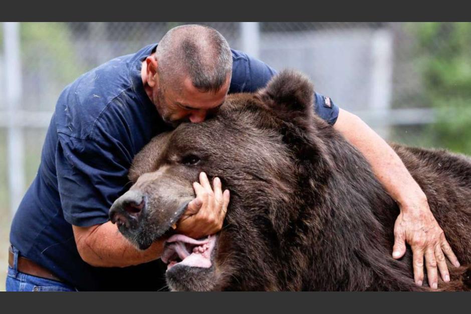 Jimbo es un oso que vive en el Centro de Vida Silvestre en Otisville, en &nbsp;Nueva York. (Foto: Times Union)