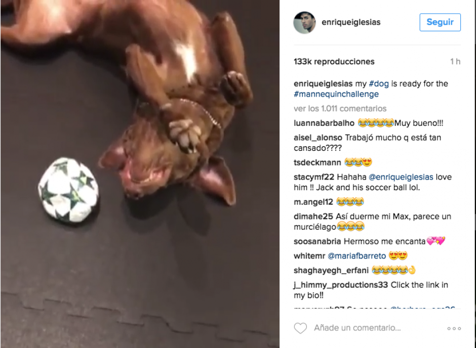 La mascota de Enrique Iglesias es el protagonista de este Mannequin Challenge. (Imagen: captura de pantalla)
