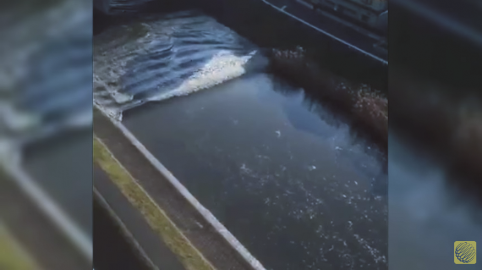 Varios videos muestran c&oacute;mo el caudal del r&iacute;o se invierte tras el tsunami. (Imagen: captura de YouTube)