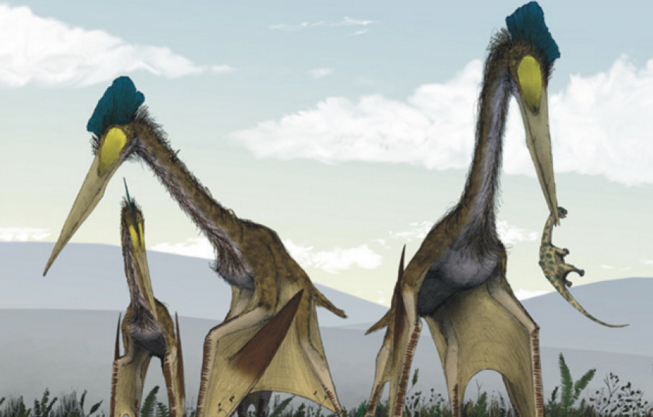Los f&oacute;siles corresponden a un enorme pterosaurio, la mayor criatura voladora de todos los tiempos, que reun&iacute;a los rasgos de dinosaurios, aves y reptiles. (Imagen: actualidad.rt.com)
