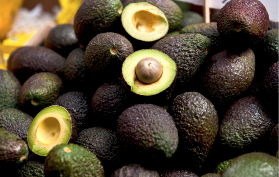 Los 2 mil 824 quintales de aguacates fueron cultivados en una finca que pertenece al expresidente Otto P&eacute;rez. (Foto: Archivo/Soy502)