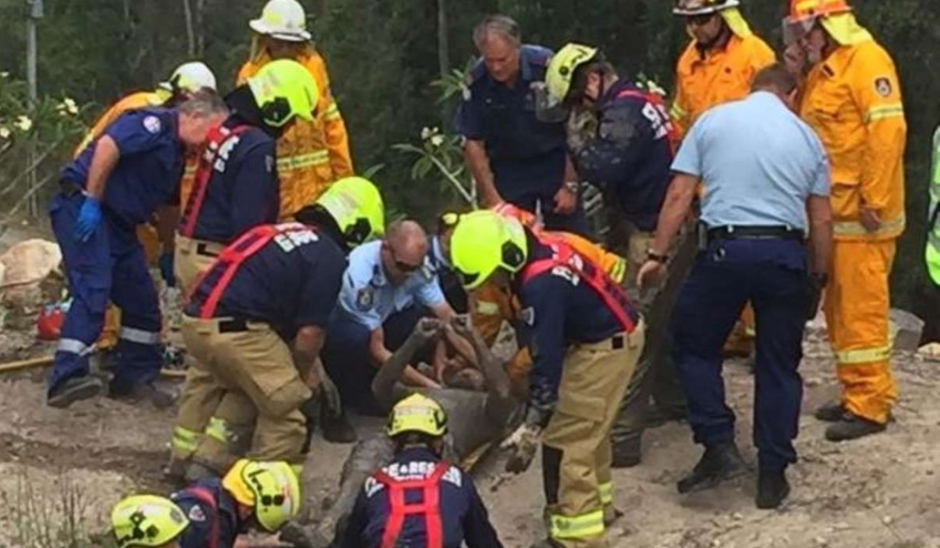 Un hombre vivi&oacute; momentos de terror al quedar atrapado en barro. (Foto: Twitter/BuzzFeedOzNews) 