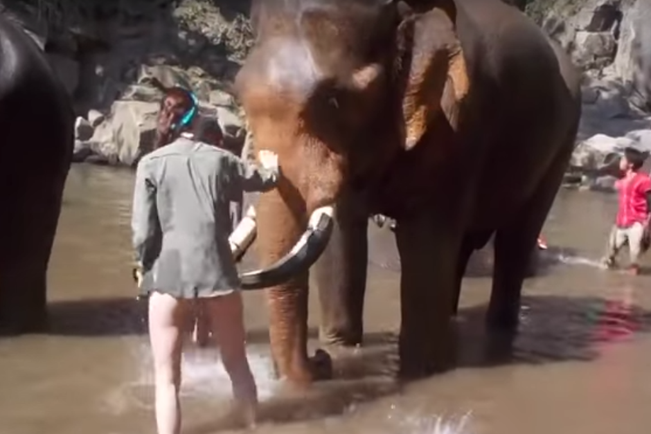 La mujer decidi&oacute; ayudar a ba&ntilde;ar al elefante que reaccion&oacute; de manera violenta. (Imagen: captura de YouTube)