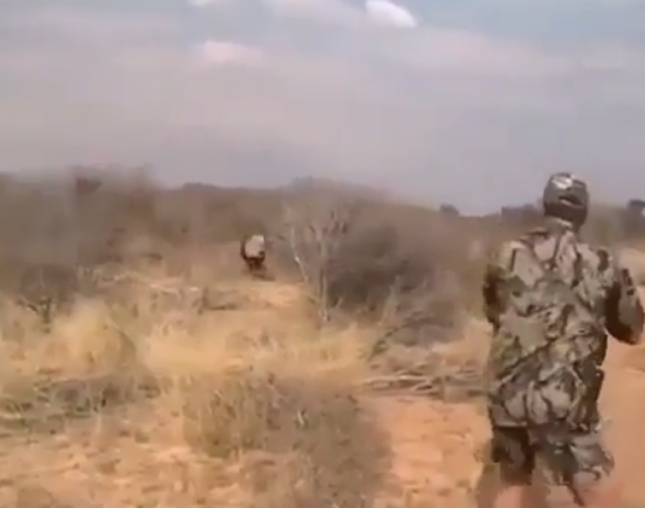 Un Le&oacute;n salvaje ataca a cazadores&nbsp; y estos lo mat&aacute;n para defenderse. (Foto: Captura de video)