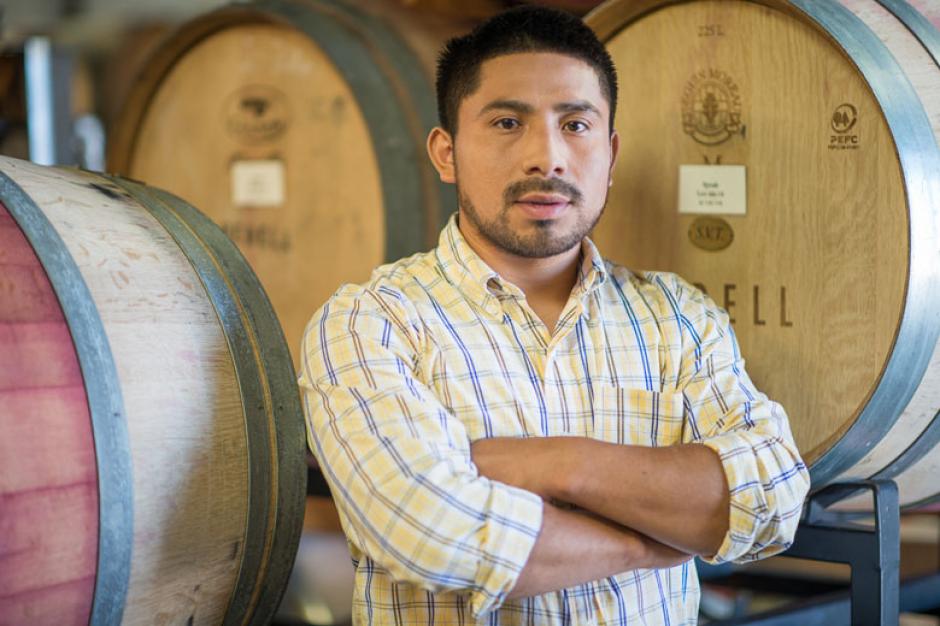 El guatemalteco Seferino Cotzojay es el encargado de la producci&oacute;n del vino  White Horse Winery. (Foto: Twitter)