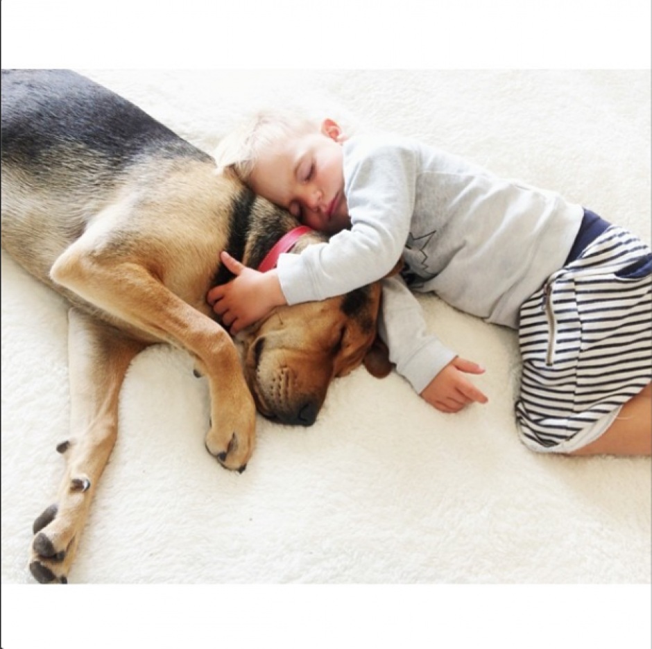 Theo y Beau se convirtieron en estrellas cuando la mam&aacute; del ni&ntilde;o, Jessica Shyba, comenz&oacute; a compartir sus fotos.