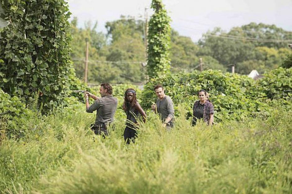 La pr&oacute;xima temporada de The Walking Dead est&aacute; por comenzar y estos son los detalles que fueron revelados. (Foto: diariocorreo.pe)