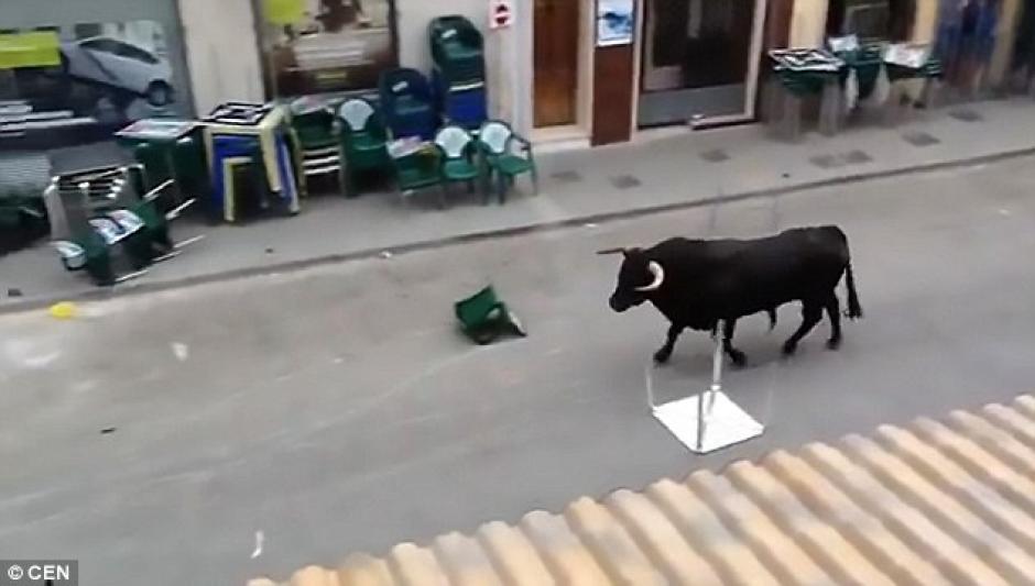 Un toro en Valencia, Espa&ntilde;a hizo una parada en un banco antes de continuar con su recorrido. (Foto: Daily Mail)