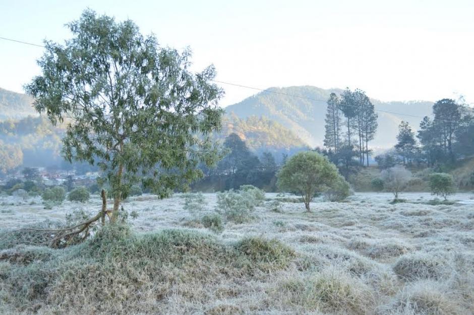 En Totonicap&aacute;n las temperaturas provocaron escarcha en los terrenos. (Foto: Jos&eacute; Garc&iacute;a/NuestroDiario)