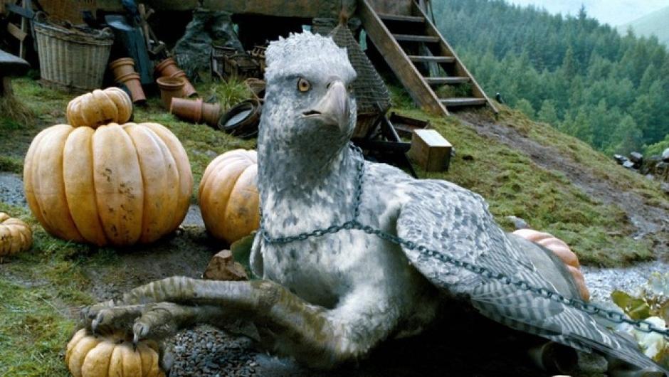 Buckbeak es el hipogrifo que apareci&oacute; en Harry Potter y el Prisionero de Azkaban. (Foto: tumblr.com)