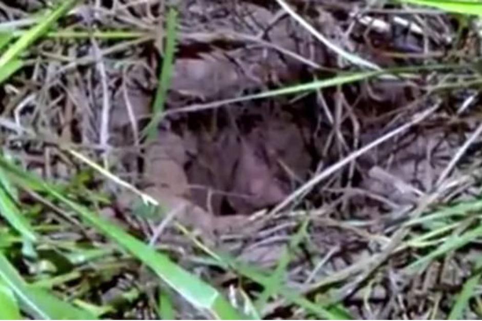 Un t&uacute;nel se desploma sobre un reo que intentaba fugarse de una c&aacute;rcel de Brasil. (Imagen: YouTube)