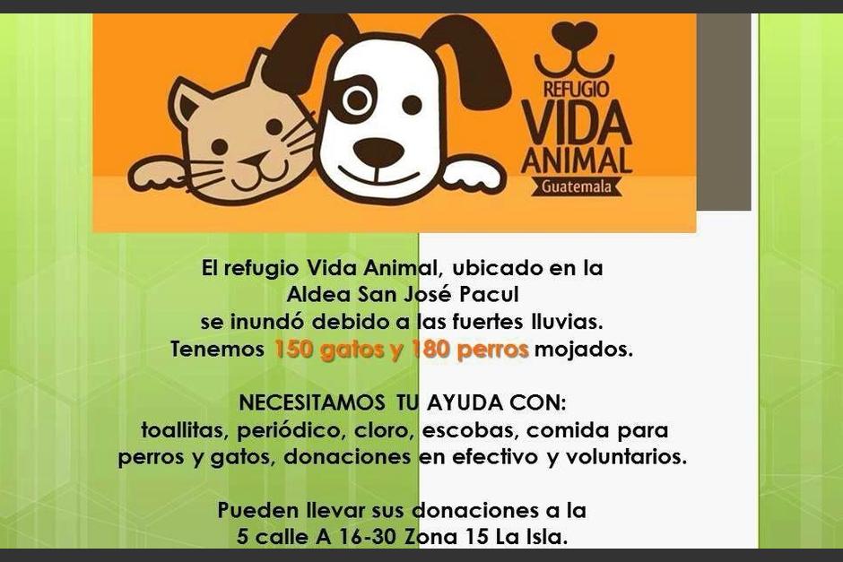 El Refugio "Vida Animal", ubicado en la aldea San Jos&eacute; Pacul, se ha inundado debibo a la fuerte lluvia que azota el pa&iacute;s. &nbsp;Los perritos y gatos que habitan en el lugar necesitan de nosotros. (Dise&ntilde;o: Vida Animal)