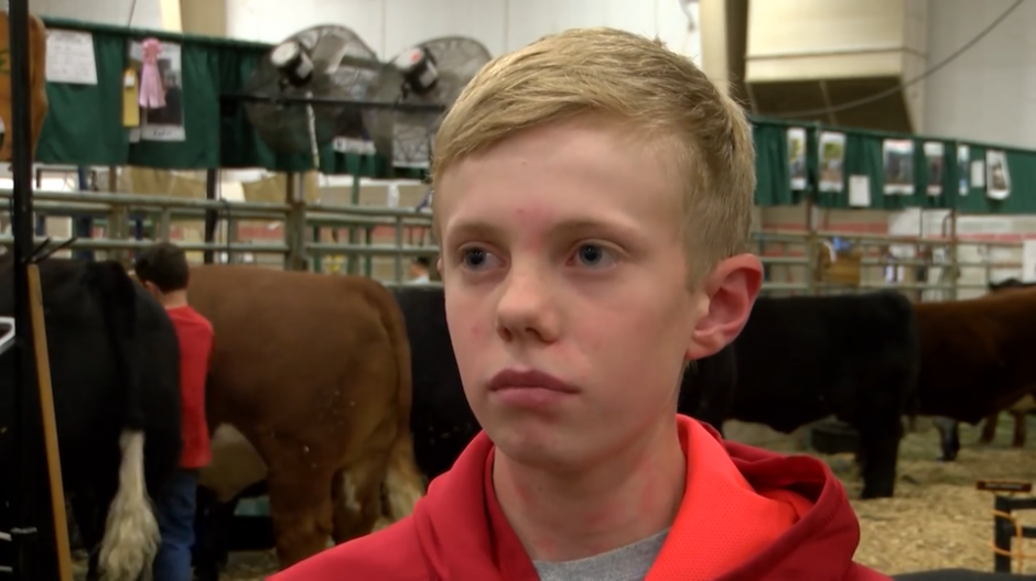 En las primeras im&aacute;genes se ve al fondo a un ni&ntilde;o molestando a unas vacas. (Foto: YouTube)