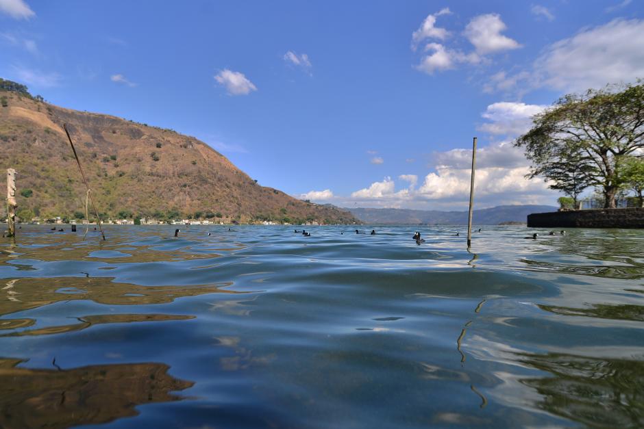 Un líquido se está aplicando en el Lago de Amatitlán para su limpieza. (Foto: Wilder López/Soy502)