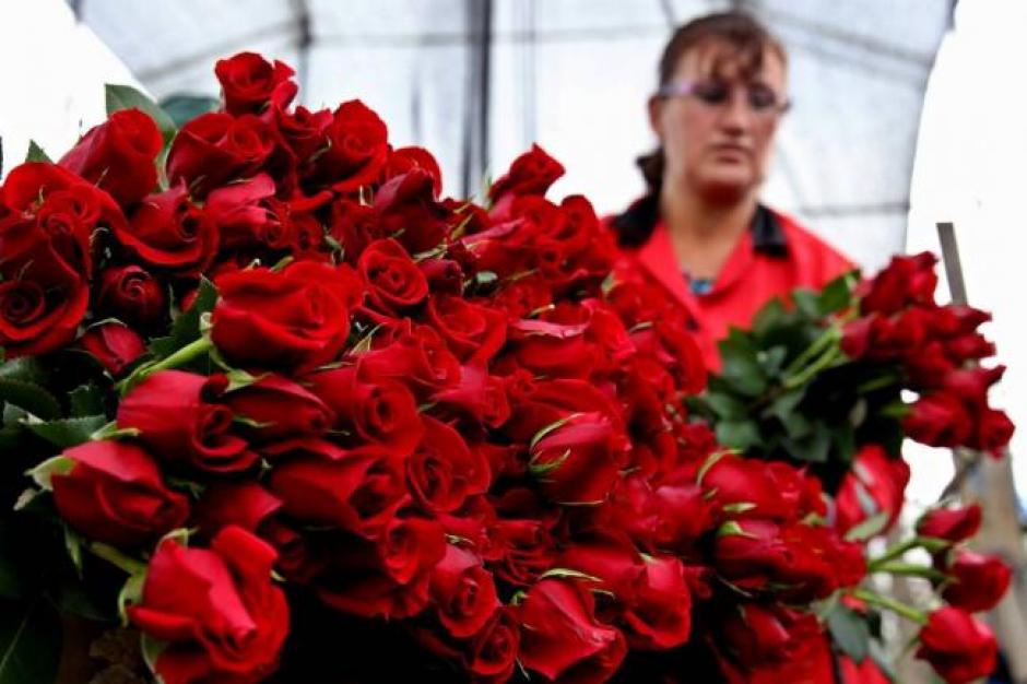Las flores son uno de los principales productos de exportaci&oacute;n de colombia. (Foto: vanguardia.com)