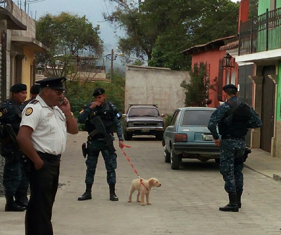 El perrito fue cuidado por los agentes mientras se realizaba el allanamiento. (Foto: Pablo Sol&iacute;s/Nuestro Diario)