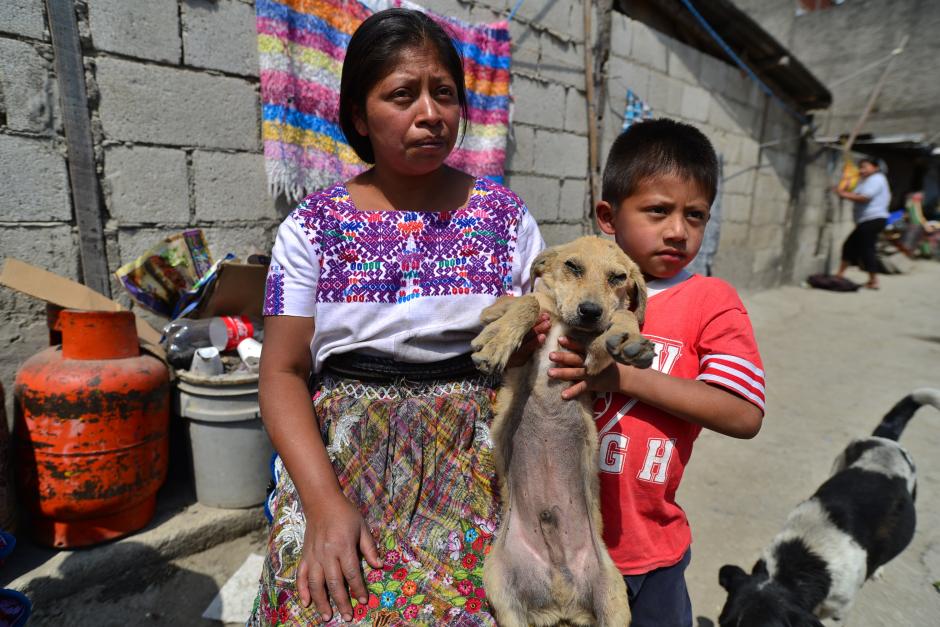 Do&ntilde;a Tomasa, Joel y su mascota, "Juguet&oacute;n," a&uacute;n no creen lo sucedido el lunes a su vivienda, que fue consumida por las llamas. (Foto: Wilder L&oacute;pez/Soy502)