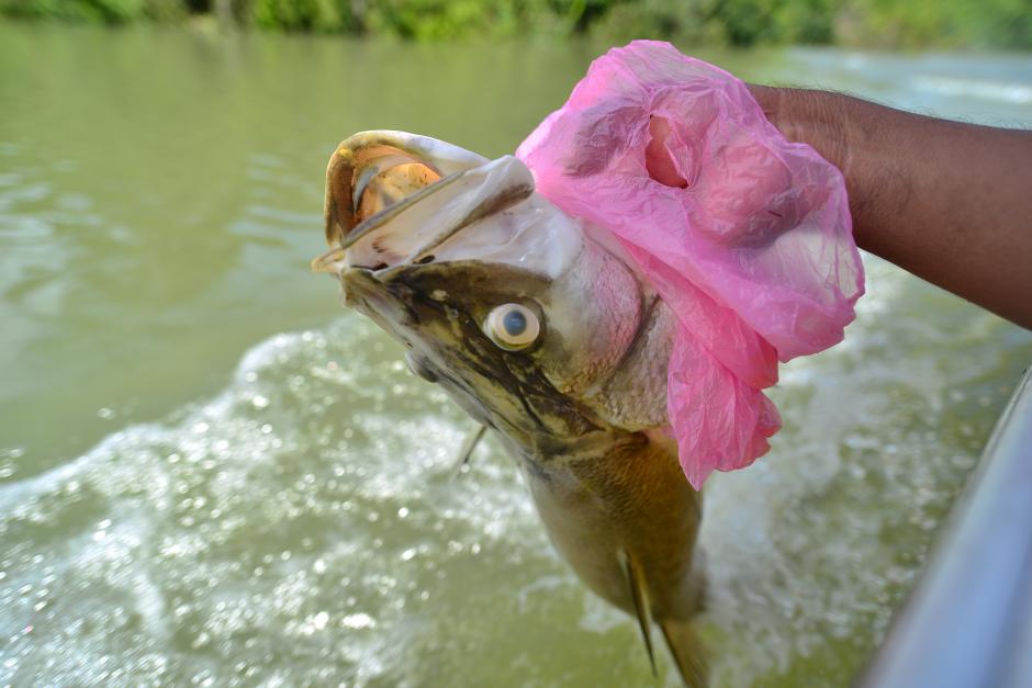 El t&eacute;cnico lleg&oacute; desde Chile a conocer lo ocurrido en el r&iacute;o La Pasi&oacute;n. (Foto: Wilder L&oacute;pez/Soy502)