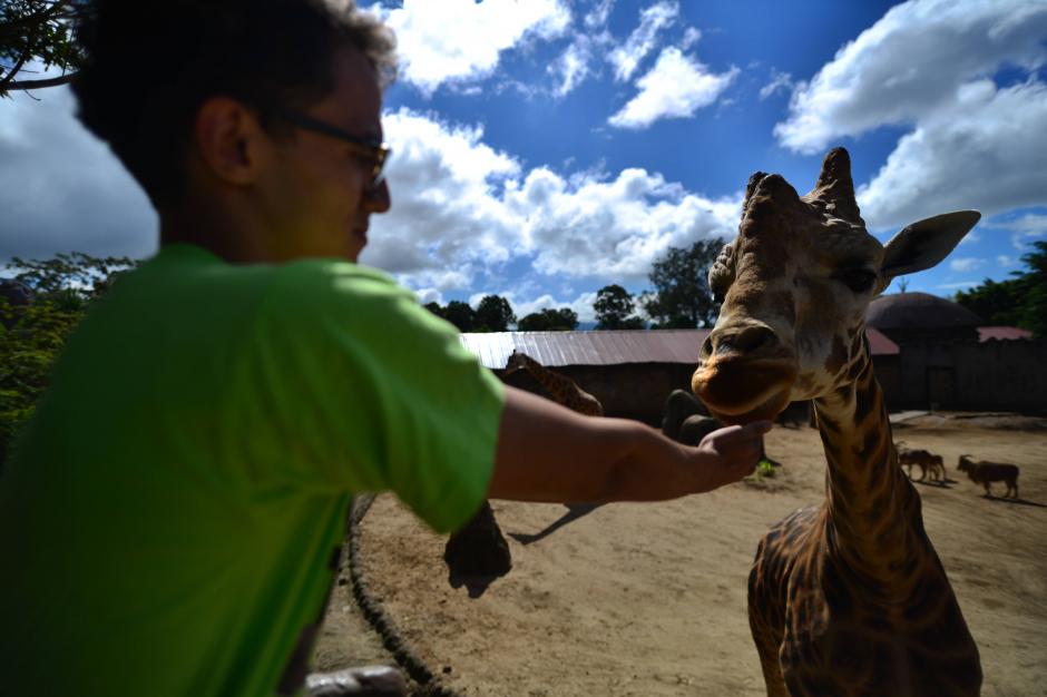 Muchos son los voluntarios que se suman a los cursos de vacaciones y así poder enseñar a niñas y niños sobre la vida del mundo animal. (Foto: Wilder López/Soy502)