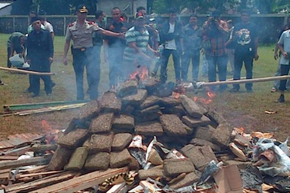 M&aacute;s de tres toneladas fueron suficientes para drogar a un pueblo en Indonesia. Las autoridades quemaron marihuana y dejaron a los pobladores con mareos y dolores de cabeza. (Foto: RamplerIndonesia)