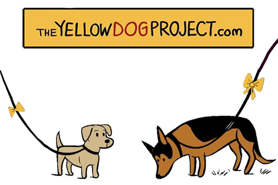 The Yellow Dog Project es una campa&ntilde;a&nbsp;para ense&ntilde;ar a la gente a acercarse apropiadamente a los perros.&nbsp;