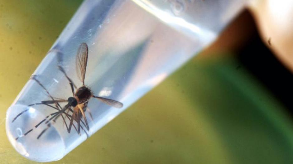 Jamaica no se duerme y renueva laboratorio para detectar el virus Zika