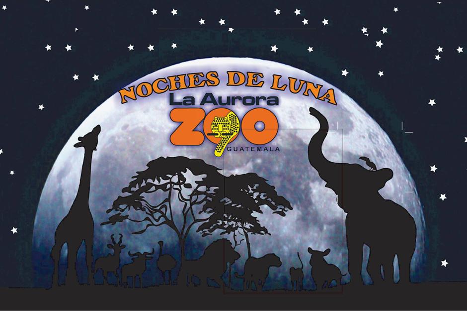 El horario en las Noches de Luna en el Zoo es de 6 a 10 P.M. (Foto: Facebook)