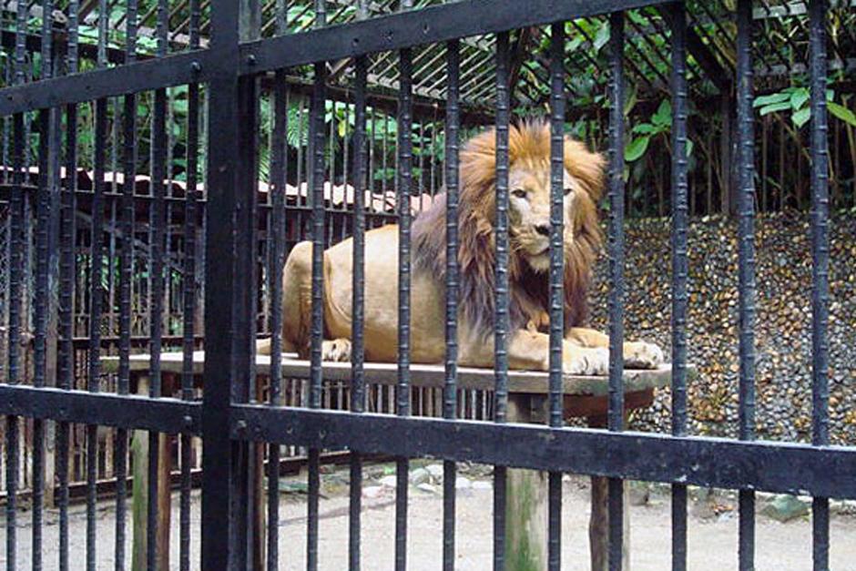 Esta iniciativa tambi&eacute;n proteger&aacute; a todo tipo de animales que est&eacute;n en cautiverio y que no sobrevivir&iacute;an en la naturaleza.